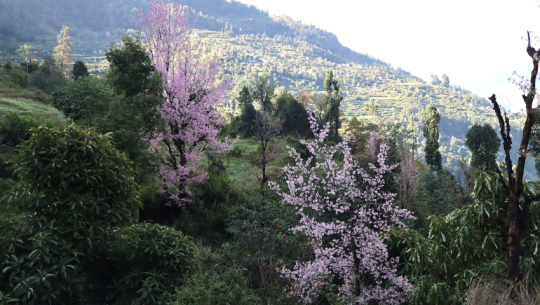 कस्तो रहला आज देशभरको मौसम?