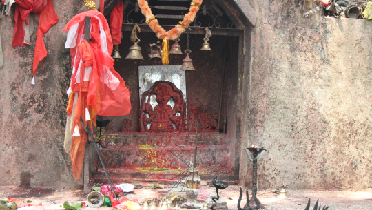 फोटो सौजन्य : अमृत भादगाउँले 