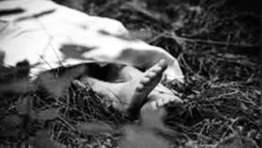 फाइल फोटो 