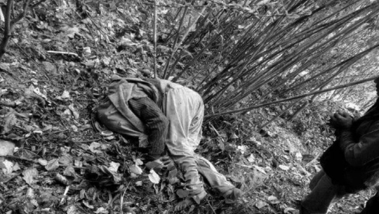 रुखबाट लडेर बैतडीमा वृद्धको मृत्यु