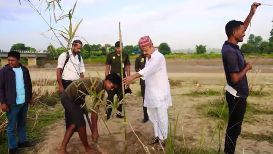 धनगढीमा अब बाँस रोप्ने अभियान, नदी कटान रोक्न ६ हजार बाँस रोपिँदै