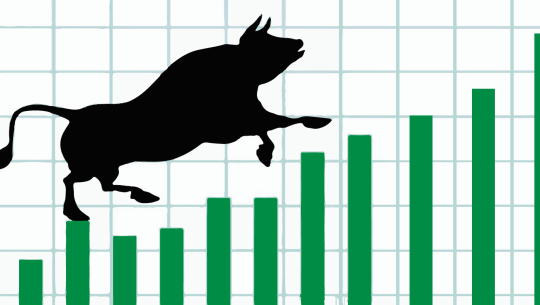 नेप्सेमा यो वर्षभरीकै उच्च कारोबार