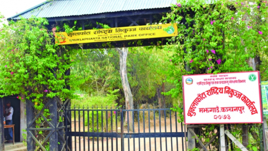 शुक्लाफाँटा राष्ट्रिय निकुञ्ज घुम्ने पर्यटक आधा घटे