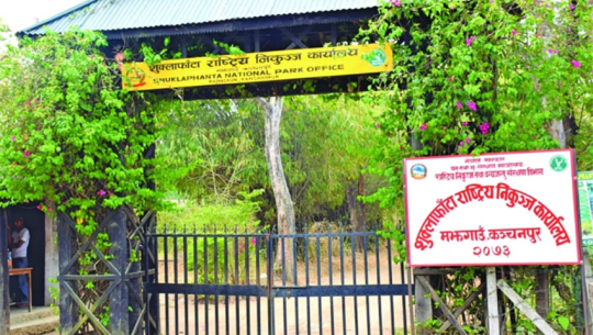 Tiger census preparations underway in Shuklaphanta national park, set for late magh