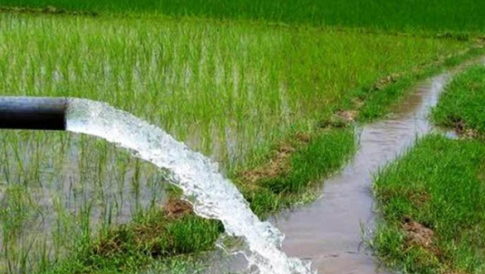 कैलालीमा चार सय १७ हेक्टर बढी क्षेत्रफलमा सिँचाइ सुविधा विस्तार