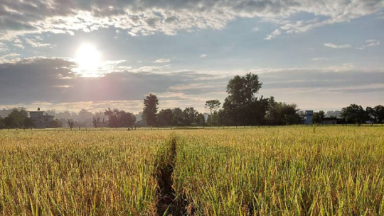 Weather expected to improve in Far-west from today