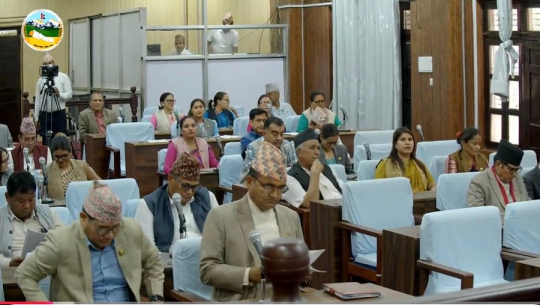स्थानीय सेवा, दलित र जनस्वास्थ्य ऐन संशोधन हुँदै 