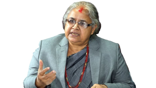 प्रधानमन्त्री कार्कीलाई पृथ्वीजयन्तीको निमन्त्रणा