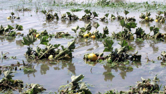 फाइल फोटो