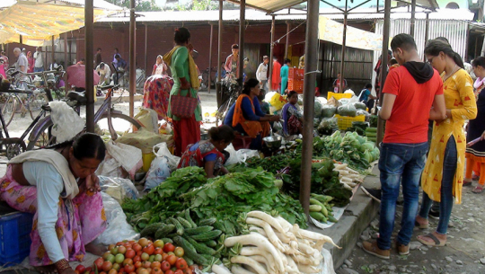 फाईल फोटो 