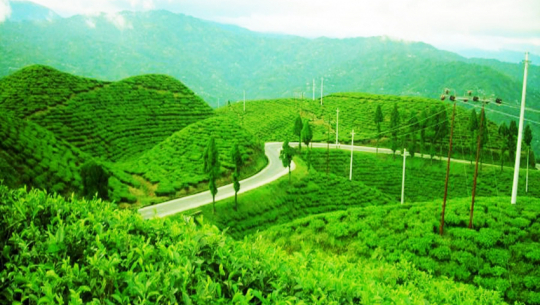 चियामा एकपछि अर्को उपलब्धि