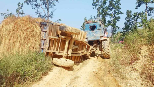 तस्विरः शिवराज ढुङ्गाना