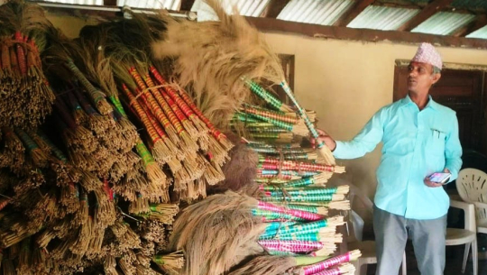 अम्रिसो खेतीबाट आम्दानी गर्दै कञ्चनपुरको चुरेफेदका सामुदायिक वन