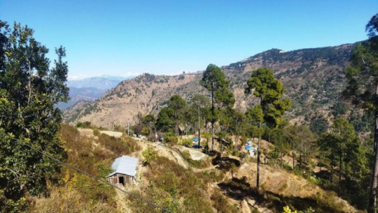 Dalit settlement on forest land still waiting for change after 17 years of Haliya liberation