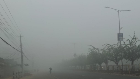 बाक्लो हुस्सु र कुहिरोले पश्चिम तराईको जनजीवन प्रभावित