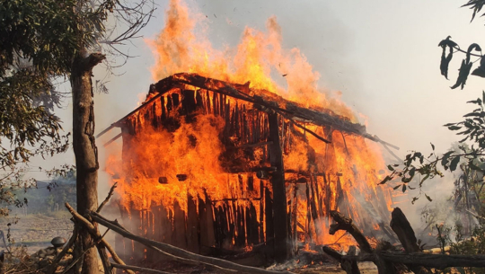 कैलालीमा गोठमा आगलागी, साढे ३ लाखकाे क्षति