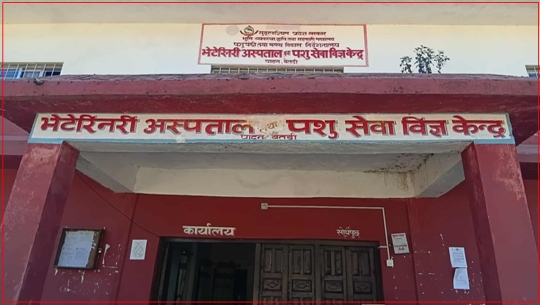 बैतडीको भेटेरिनरी अस्पताल सत्र महिनादेखि चिकित्सकविहीन