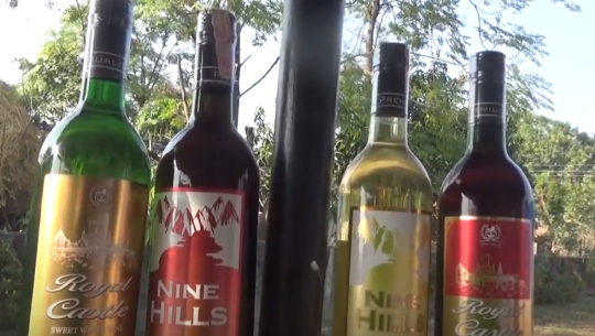 सुदुरपश्चिममा कोल्ड स्टाईविलाईजेशन प्रविधिको वाईन उद्योग स्थापना