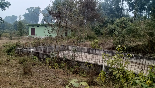 कञ्चनपुरमा स्विमिङ पुलको नाममा भ्रष्टाचार, वनका पदाधिकारी अनभिज्ञ 