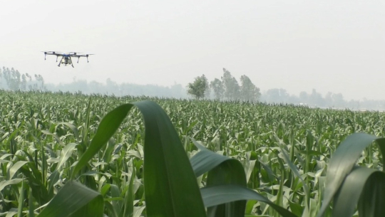 माटो विज्ञान अनुसन्धान केन्द्रले ड्रोनबाट विषादी छर्किने प्रविधिको परिक्षण गर्दै