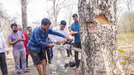 धनगढीमा फोहोरमैला व्यवस्थापन केन्द्र निर्माण गर्न रुख कट्न सुरु