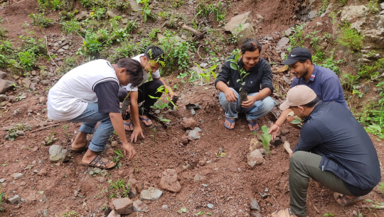 कैलालीको चुरेमा एक हजार एक सय बिरुवा रोपियो