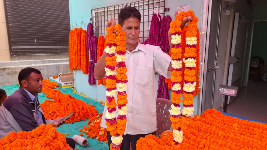 धनगढीका पुष्प व्यवसायी किसानको ८० प्रतिशत फूल बिक्री