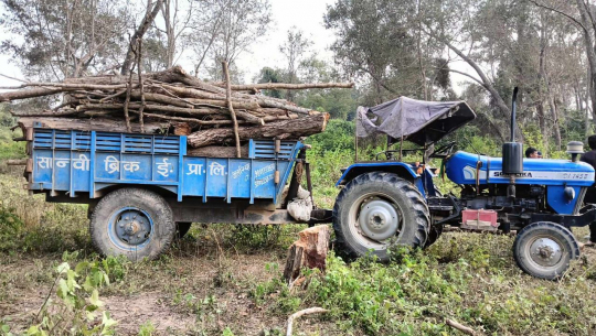 अत्तरियामा सामुदायिकले काठसहित बुझाएको तस्कर समूहलाई वनको उन्मुक्ति