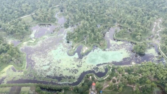 Two arrested with drugs in Jakhortal, Dhangadhi