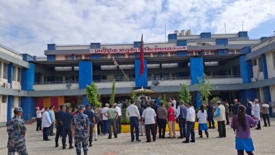 बालबालिकालाई हरेक महिना पुष्य नक्षत्र परेको दिन स्वर्ण प्राशन खुवाइने