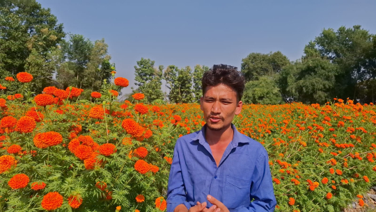 धनगढीमा चार वर्षदेखि पुष्पखेती गर्दै अछामका रोशन साउँद