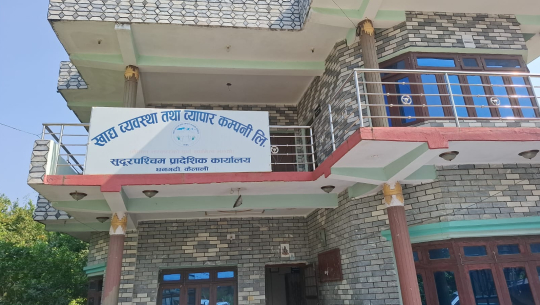 कैलालीमा खाद्य व्यवस्था तथा व्यापार कम्पनीले कात्तिक दोस्रो साताबाट धान खरिद गर्ने