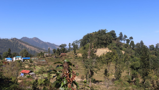 कैलालीको धुलीकोट दरबार सम्पदाको संरक्षणका लागि पुरातत्व विभाग अध्ययन गर्दै