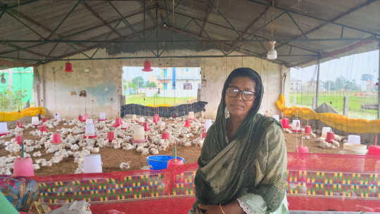 भारतमा सिकेको सीप स्वदेशमै प्रयोग : कुखुरा पालनबाट वर्षमा १५ लाखसम्म आम्दानी गर्ने माया कार्की