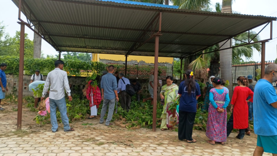 पहिलो दिनमै सकिए लिचीका बिरुवा, दोस्रो दिन पुगेका किसान निराश