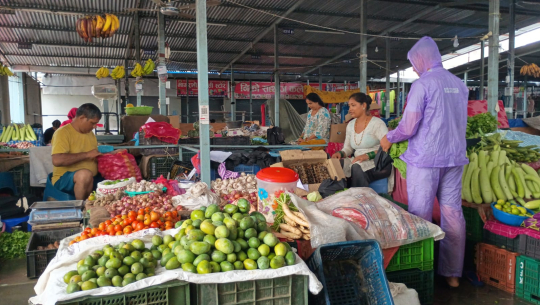 बर्खायामको वर्षाले धनगढीमा हरियो तरकारीको भाउ आकासियो, उपभोक्ताको भान्साको खर्च बढ्यो