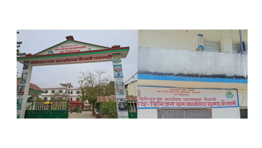 कैलालीका दुई डिभिजन वन कार्यालयमा अख्तियारको एकसाथ छापा