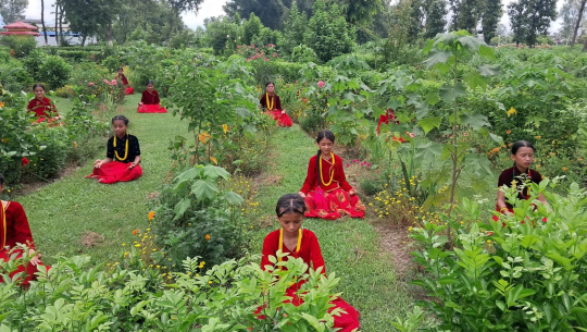 नागरिकको पहलले बदलिँदै जमरा किनार, विश्वशान्ति योग आश्रम आकर्षणको केन्द्र बन्दै