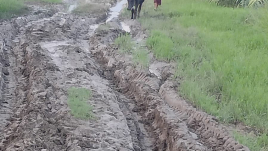 लट्कनिया-विलासपुर सडक  हिलाम्मे हुँदा स्थानीयलाई सास्ती