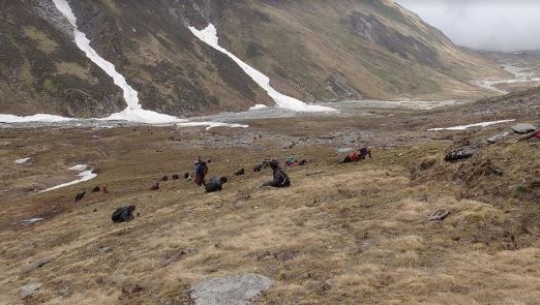 बझाङमा भीरबाट लडेर यार्सा संकलकको मृत्यु