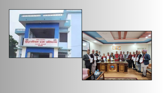 प्रज्ञा प्रतिष्ठानमा प्रदेश सरकारले पार्टीका कार्यकर्ता भर्ती गरेको आरोप