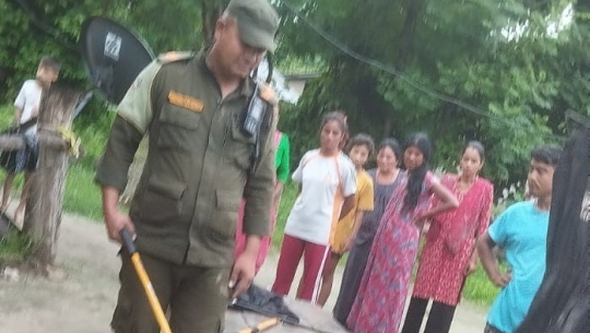 धनगढीमा एक जनाको घरबाट सर्पको उद्दार
