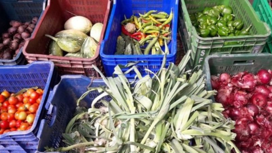 तरकारीमा मनलाग्दी विषादीको प्रयोग, यसो भन्छन् बाली संरक्षण अधिकृत