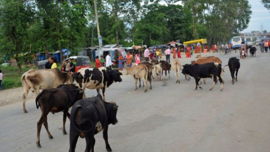 फाइल फोटो