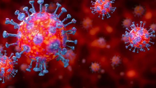 चौध जनामा सङ्क्रमण