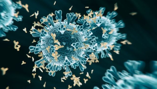 14 more cases of coronavirus