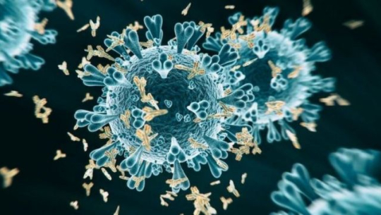 कोरोना भाइरस : ४३५ सङ्क्रमित