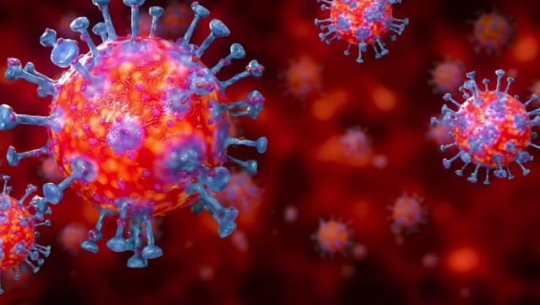 १७ जनामा मात्र सङ्क्रमण