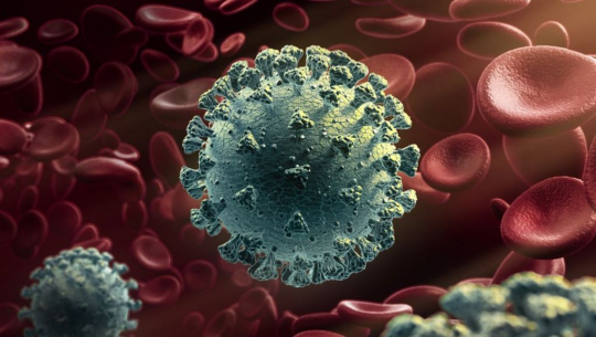 Four new variants of coronavirus found