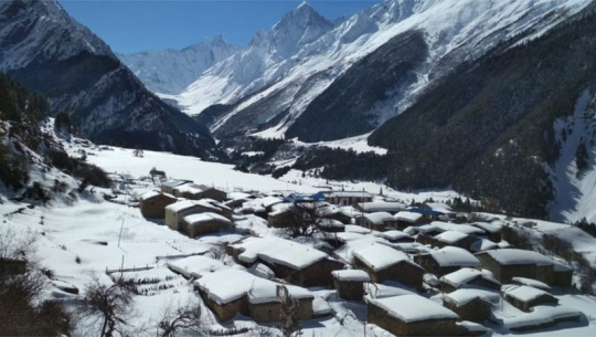 फोटो: अशोक सिंह बोहरा 